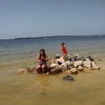 Shady Oaks Marina & RV Park