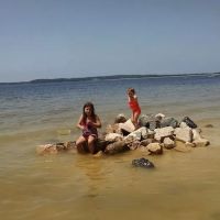 Shady Oaks Marina & RV Park ico