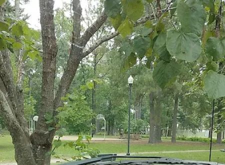 Pine Valley Mobile home Community