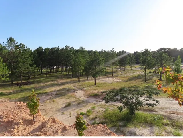 Magnolia Springs RV Park Picture 9