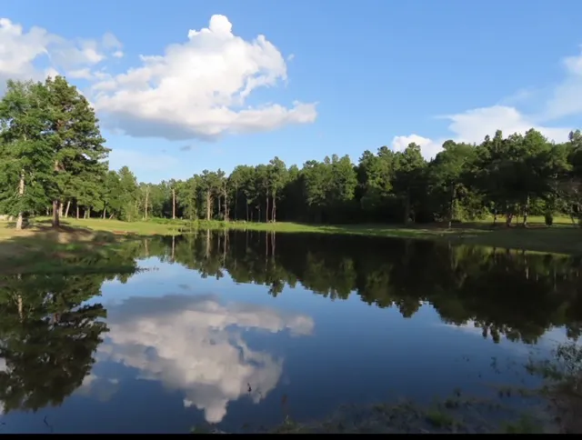 Magnolia Springs RV Park Picture 8