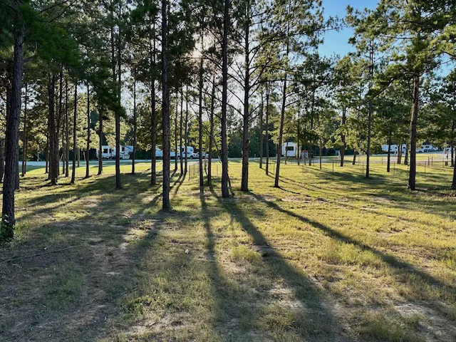 Magnolia Springs RV Park Picture 2