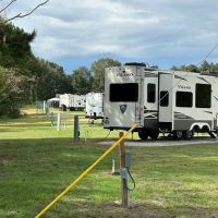 Magnolia Springs RV Park ico