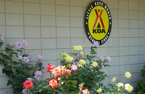 Little Rock North / Jct. I-40 KOA Journey Picture 6