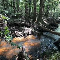 Jasper TX RV Park and Campground at Paula Bellow Nature Preserve ico