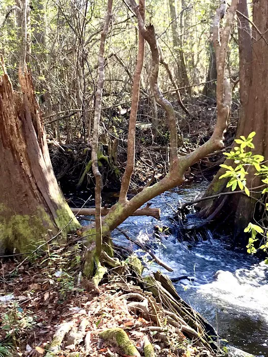 Jasper TX RV Park and Campground at Paula Bellow Nature Preserve Picture 3