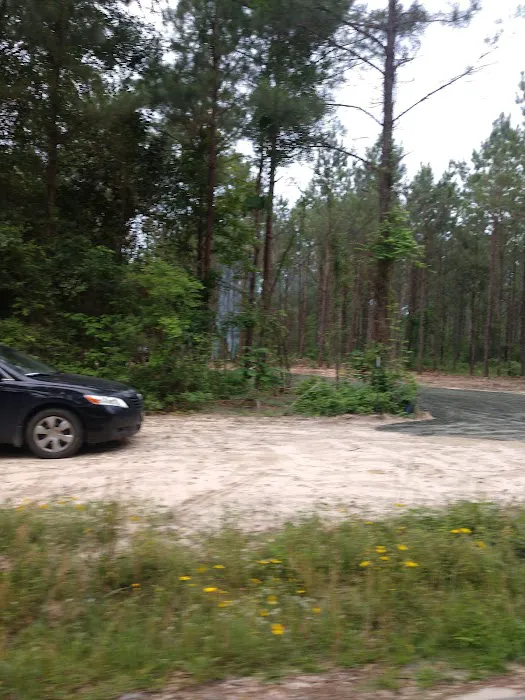 Jasper TX RV Park and Campground at Paula Bellow Nature Preserve Picture 2