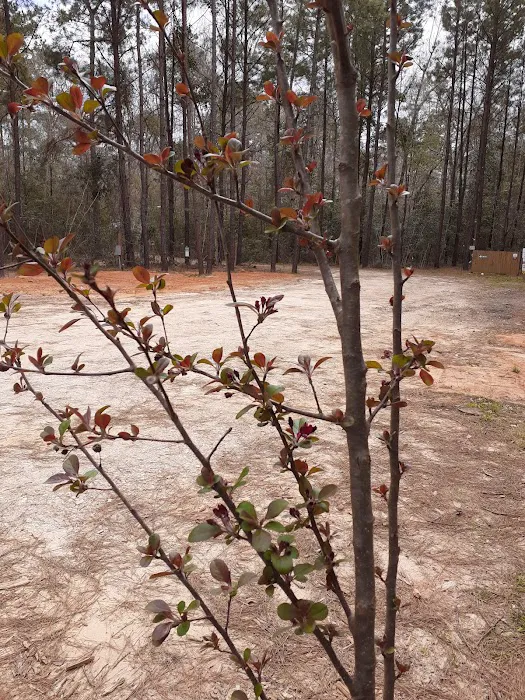 Jasper TX RV Park and Campground at Paula Bellow Nature Preserve Picture 4