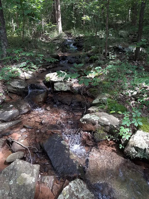 Piney Bay Campground Picture 5