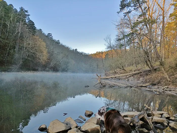 River Road Campground Picture 6