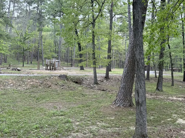Lake Nimrod Campgrounds Picture 7