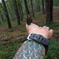 Heart Rock ico