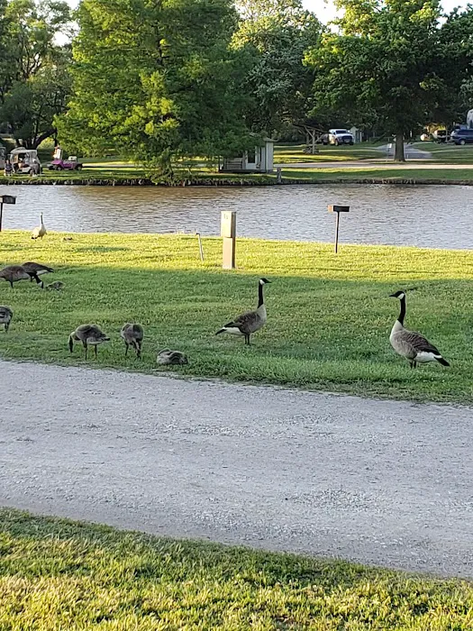 Wichita Spring Lake RV Resort Picture 6