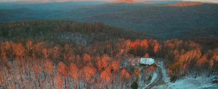 Camp Pinestump Picture 2