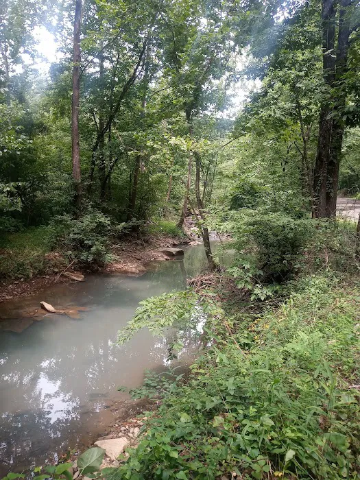 Horsehead Lake Campground Picture 7