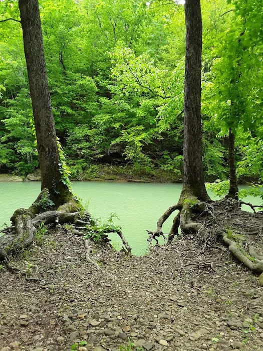 Wolf Pen Recreation Area Picture 10