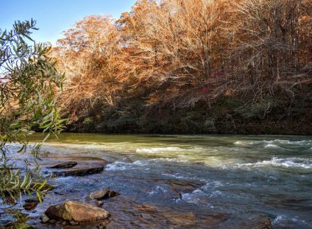 Wolf Pen Recreation Area