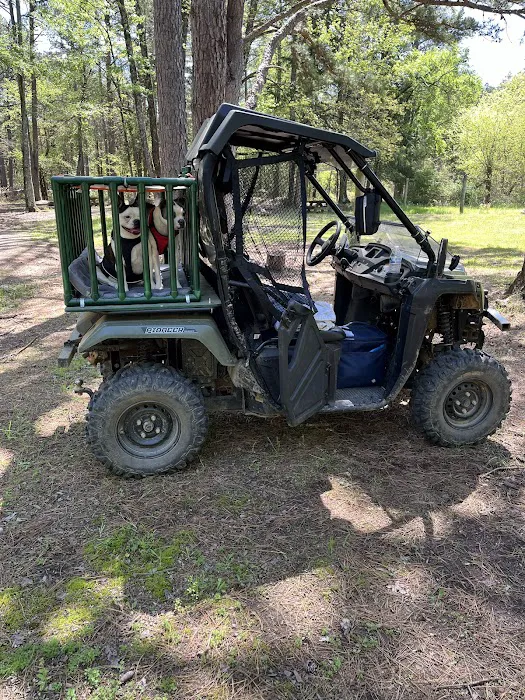 Sorghum Hollow Horse Camp Picture 8