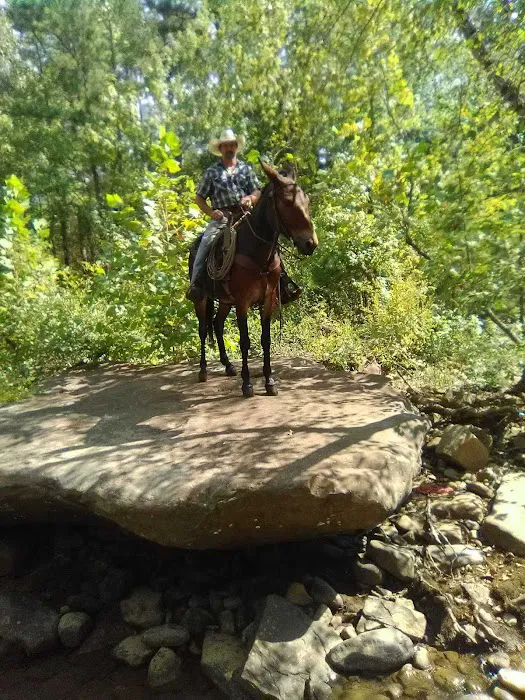 Lonesome D Horse Camp Picture 1