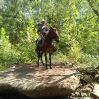 Lonesome D Horse Camp ico