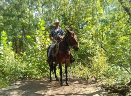 Lonesome D Horse Camp
