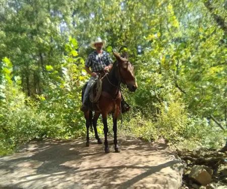 Lonesome D Horse Camp