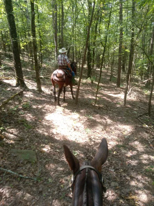 Lonesome D Horse Camp Picture 5