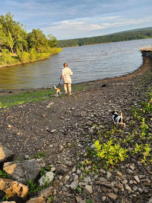 Carter Cove Recreation Area Picture 5