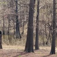 Sunlight Bay Campground ico