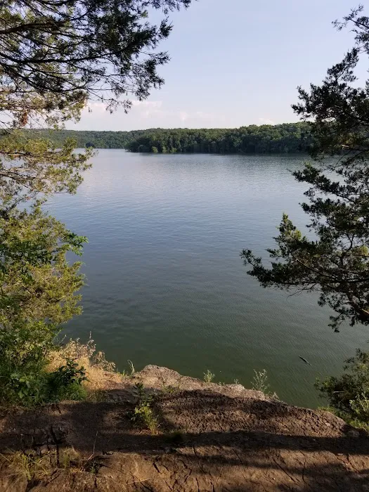 Viola Park Campground Picture 6