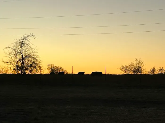 Whitney Willow RV Park Picture 3