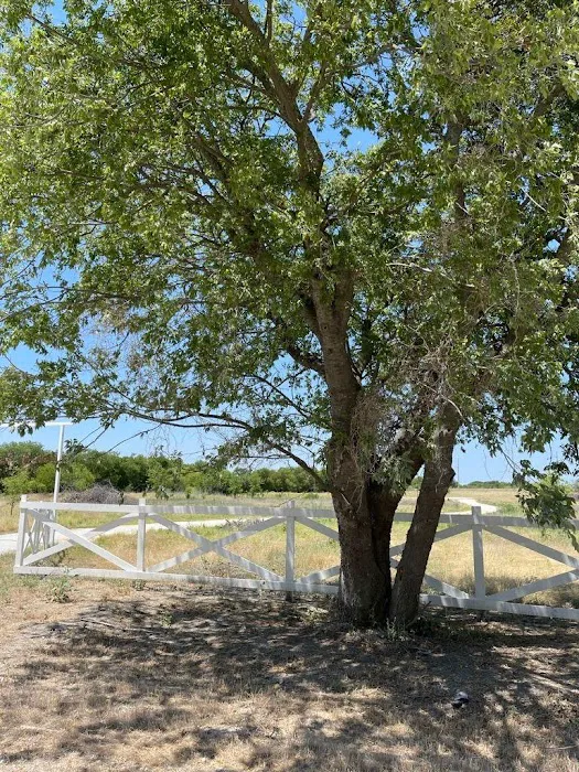 Whitney Willow RV Park Picture 5