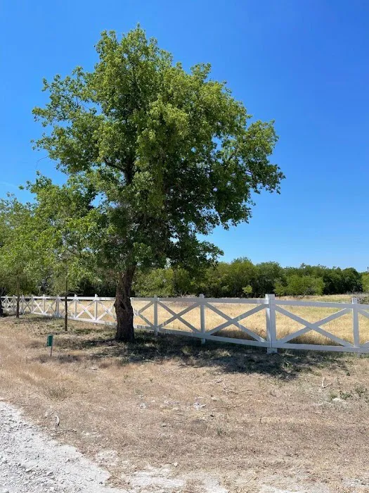Whitney Willow RV Park Picture 2