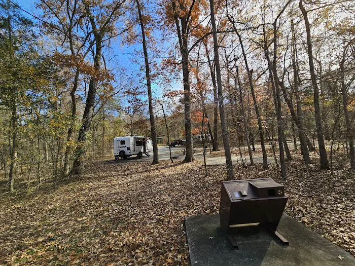 Withrow Springs State Park Campground Picture 4