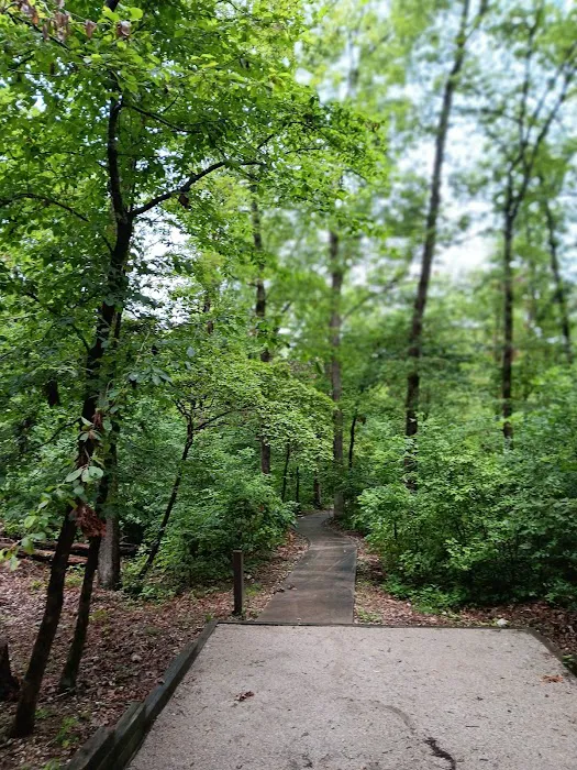 Withrow Springs State Park Campground Picture 10