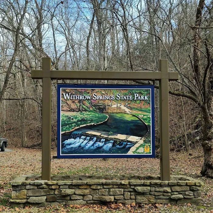 Withrow Springs State Park Campground Picture 8