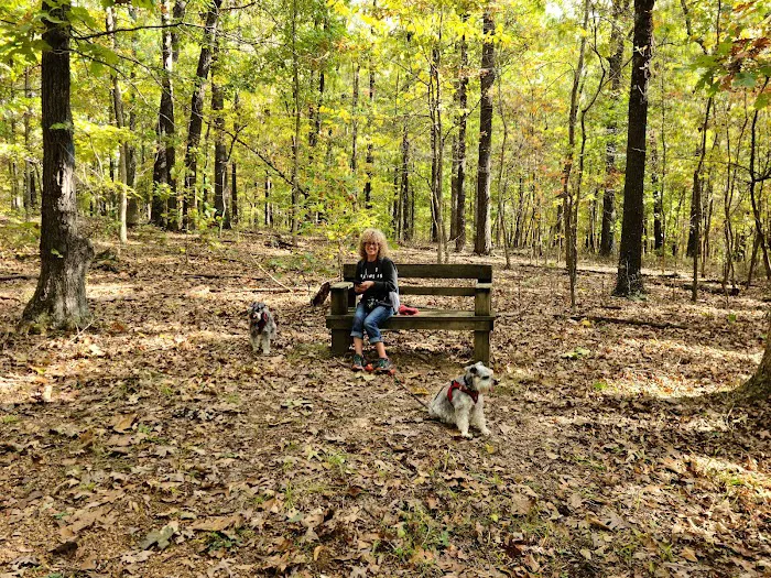 Withrow Springs State Park Campground Picture 7