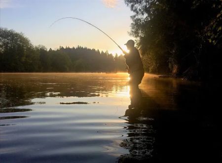 RiverDream Camps