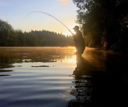 RiverDream Camps