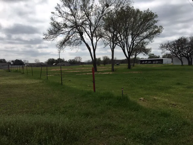 Lake Whitney RV Park Picture 8