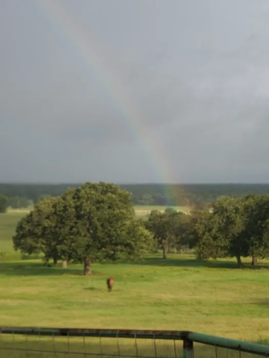 Helm Ranch RV Park Picture 10