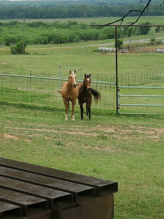 Helm Ranch RV Park Picture 4