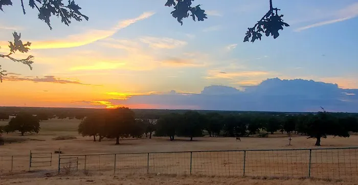 Helm Ranch RV Park Picture 9