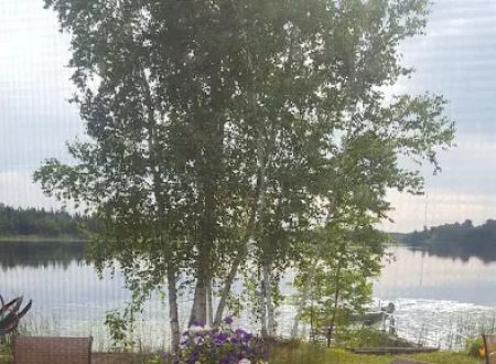 Sandy Pines Campground LLC
