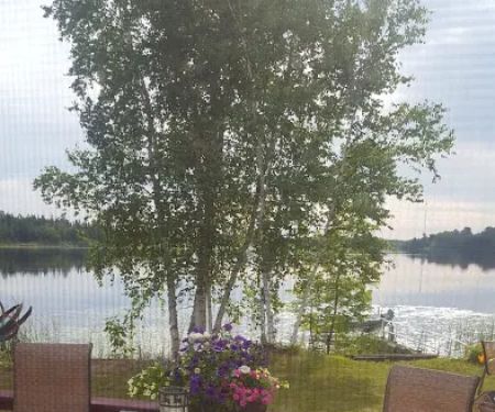 Sandy Pines Campground LLC