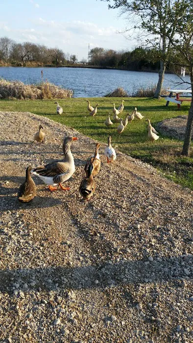 Waco RV Resort Picture 5