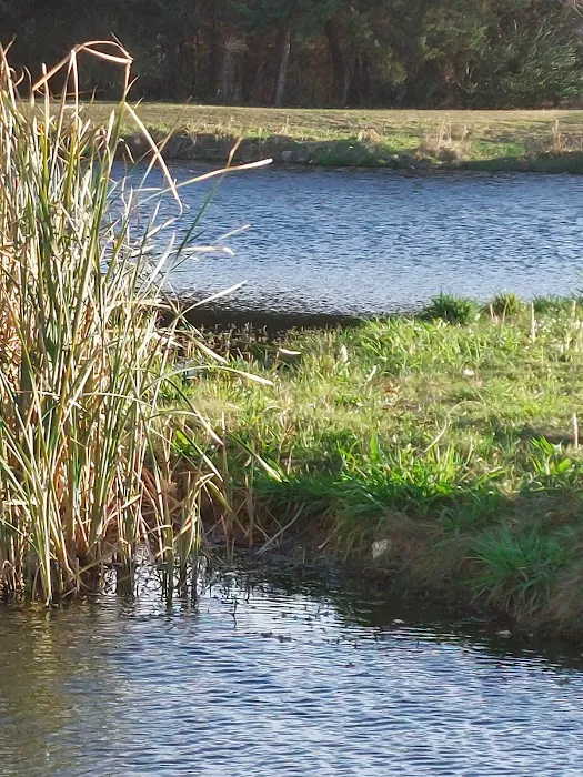 Waco RV Resort Picture 9