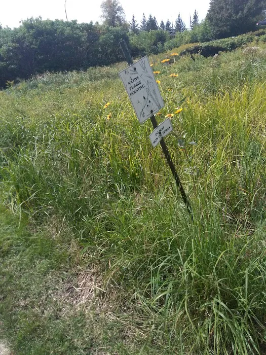 Forestry Department Picture 3