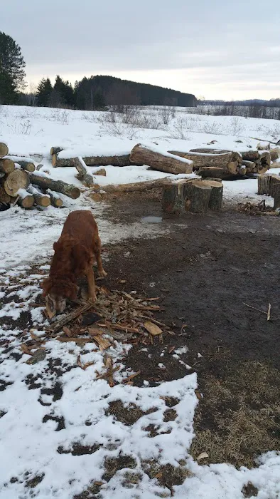 Forestry Department Picture 9