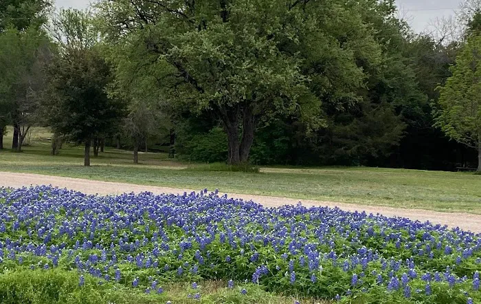 Brazos River RV Park Picture 4